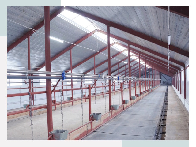 Строительство коровников в Серове от 612 руб.