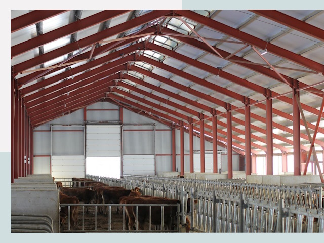 Строительство коровников в Серове