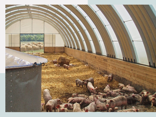 Строительство свинарников в Серове