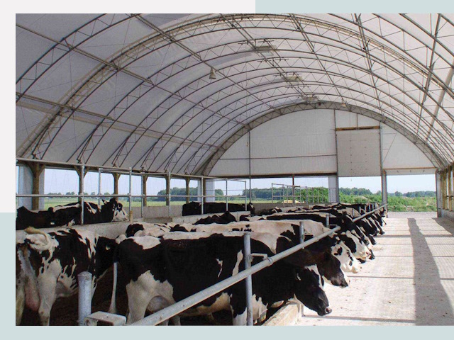 Тентовые коровники в Серове